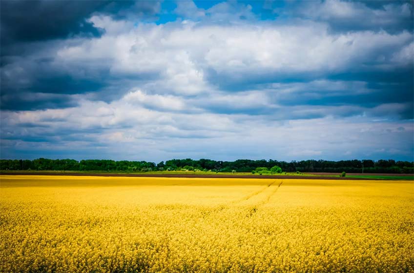 Wide shot of a field meeting the sky.